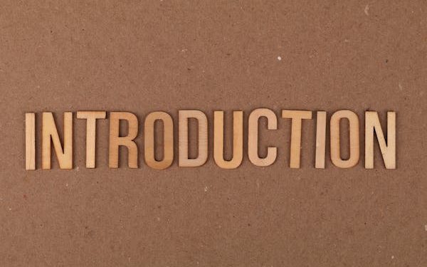 Which Sentence is the Hook in this Introductory Paragraph?